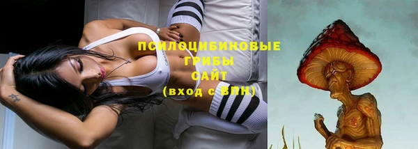 не бодяженный Аркадак