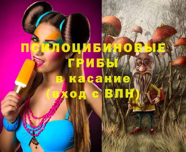 не бодяженный Аркадак