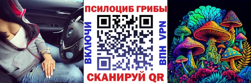 наркотики Бахчисарай мега зеркало Галлюциногенные грибы прущие грибы